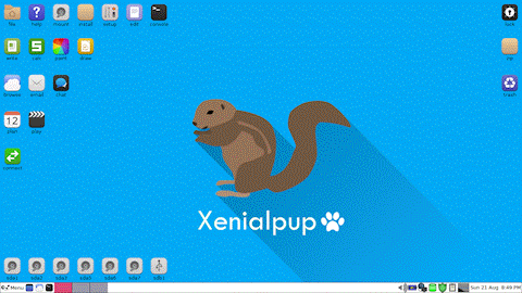 Xenialpup desktop